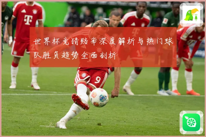 世界杯竞猜赔率深度解析与热门球队胜负趋势全面剖析