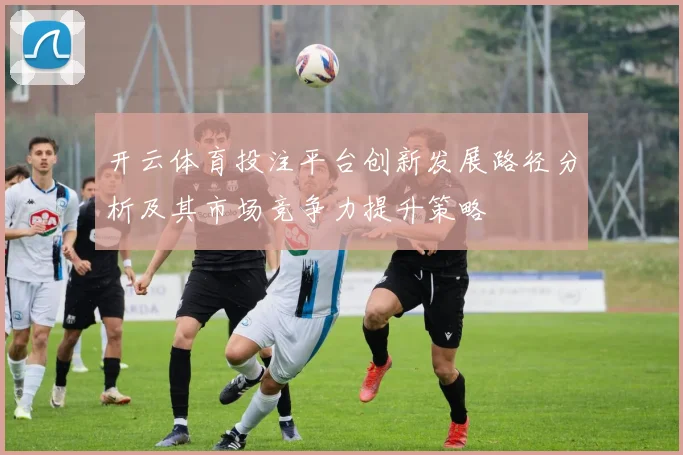 开云体育投注平台创新发展路径分析及其市场竞争力提升策略