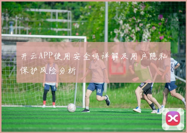 开云APP使用安全吗详解及用户隐私保护风险分析